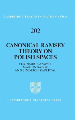 Canonical Ramsey Theory on Polish Spaces - Kanovei, Vladimir