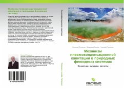 Mehanizm pnewmokondensacionnoj kawitacii w prirodnyh flüidnyh sistemah - Petrenko, Vasiliy;Zlenko, Vladimir;Petrenko, Nikolay