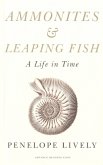 Ammonites & Leaping Fish