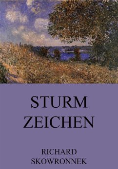 Sturmzeichen (eBook, ePUB) - Skowronnek, Richard