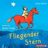 Fliegender Stern (MP3-Download) - Bild 1