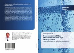 Measurement of Flow Structures Induced by a Bubbly Plume - Abdulmouti, Hassan