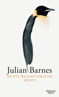 Nichts, was man fürchten müsste (eBook, ePUB) - Barnes, Julian