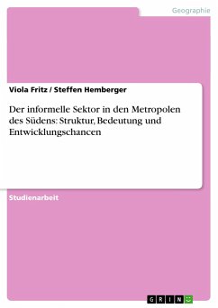 Der informelle Sektor in den Metropolen des Südens: Struktur, Bedeutung und Entwicklungschancen - Hemberger, Steffen;Fritz, Viola