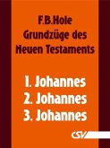 Grundzüge des Neuen Testaments - 1., 2. & 3. Johannes (eBook, ePUB)
