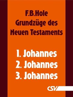 Grundzüge des Neuen Testaments - 1., 2. & 3. Johannes (eBook, ePUB) - Hole, F. B.
