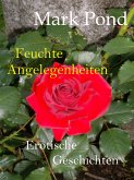 Feuchte Angelegenheiten (eBook, ePUB)