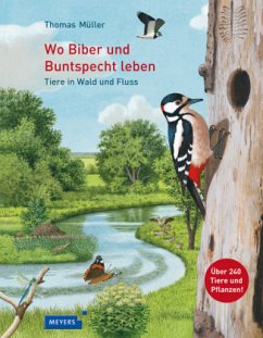 Wo Biber und Buntspecht leben - Müller, Thomas