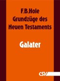 Grundzüge des Neuen Testaments - Galater (eBook, ePUB)