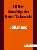 Grundzüge des Neuen Testaments - Johannes (eBook, ePUB)