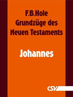 Grundzüge des Neuen Testaments - Johannes (eBook, ePUB) - Hole, F. B.