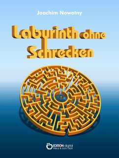 Labyrinth ohne Schrecken (eBook, ePUB) - Nowotny, Joachim