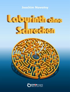 Labyrinth ohne Schrecken (eBook, PDF) - Nowotny, Joachim