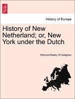 History of New Netherland or, New York under the Dutch - O'Callaghan, Edmund Bailey