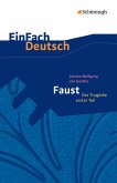 Faust - Der Tragödie erster Teil. EinFach Deutsch Textausgaben