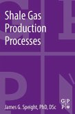 Shale Gas Production Processes (eBook, ePUB)