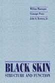 Black Skin (eBook, PDF)