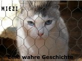 Miezi – Eine wahre Katzengeschichte (eBook, ePUB)