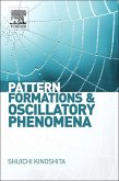Pattern Formations and Oscillatory Phenomena (eBook, ePUB)
