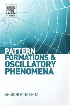 Pattern Formations and Oscillatory Phenomena (eBook, ePUB)