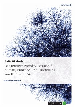 IPv6 - Aufbau, Funktion und Umstellung von IPv4 auf IPv6 (eBook, PDF)