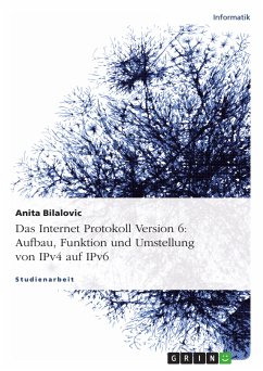 Das Internet Protokoll Version 6: Aufbau, Funktion und Umstellung von IPv4 auf IPv6 (eBook, PDF) - Bilalovic, Anita