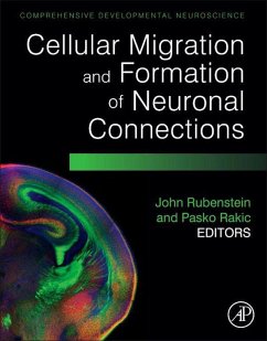 Cover Cellular Migration and Formation of Neuronal Connections (eBook, ePUB)