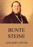 Bunte Steine (eBook, ePUB)