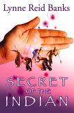 Secret of the Indian (eBook, ePUB)