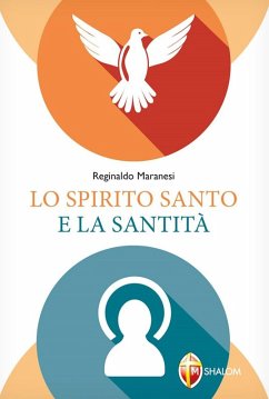 Cover Lo Spirito Santo e la santità