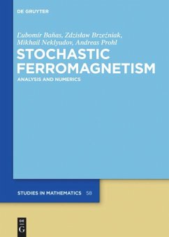 Stochastic Ferromagnetism - Banas, Lubomir;Brzezniak, Zdzislaw;Neklyudov, Mikhail
