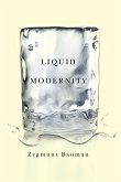 Liquid Modernity (eBook, PDF)