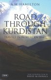 Road Through Kurdistan (eBook, PDF)