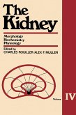 The Kidney Morphology, Biochemistry, Physiology (eBook, PDF)