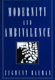 Modernity and Ambivalence (eBook, PDF)