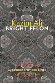 Bright Felon (eBook, ePUB) Bright Felon (eBook, ePUB)