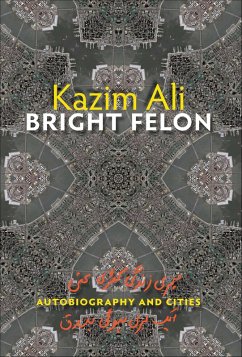 Cover Bright Felon (eBook, ePUB)