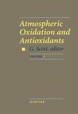Atmospheric Oxidation and Antioxidants (eBook, PDF)