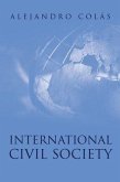 International Civil Society (eBook, ePUB)