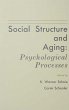 Social Structure and Aging (eBook, PDF) - Bild 1