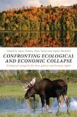 Confronting Ecological and Economic Collapse (eBook, ePUB)