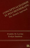 Conceptualization in Psychotherapy (eBook, PDF)