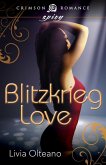 Blitzkrieg Love (eBook, ePUB)