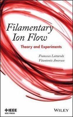 Filamentary Ion Flow - Lattarulo, Francesco; Amoruso, Vitantonio