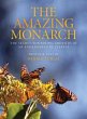 Amazing Monarch - Bild 1