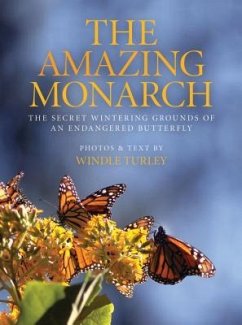 Amazing Monarch - Turley, Windle