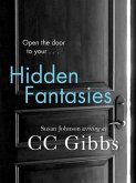 Hidden Fantasies (eBook, ePUB)