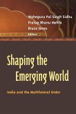 Shaping the Emerging World