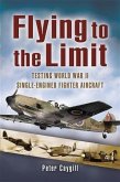 Flying to the Limit (eBook, ePUB)