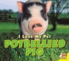 I Love My Pet Potbellied Pig - Carr, Aaron